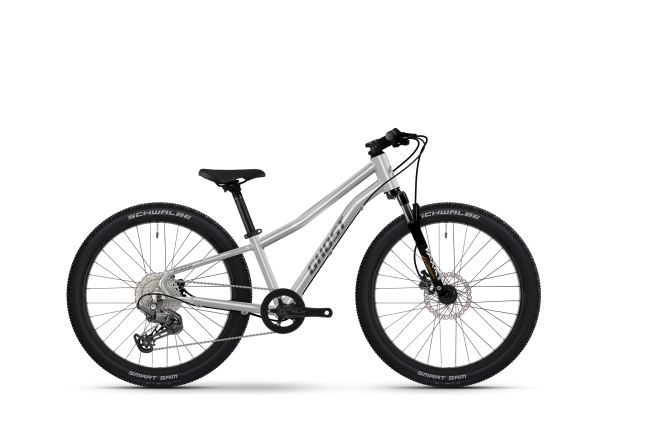 Ghost KATO 24 FULL PARTY - C2 Uni silver/slab grey - glossy 2026 - 1