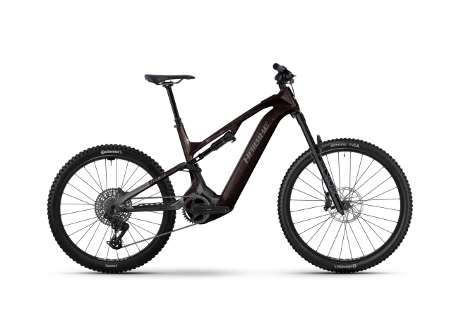 Haibike ALLMTN CF 9 High black/platinum glänzend 2026 - 1