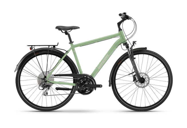 Winora Winora Domingo X24 - High MEADOW MIST glänzend 2026 - 1