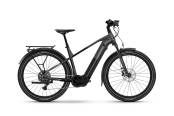 Haibike TREKKING 6.5 - High  stardust/titan glänzend 2026 - 1