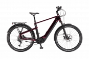 Winora Yakun X10E - High darkred 2023 - 1