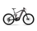  ALLTRAIL 10 29 MTB Fully pebble grey/black - gloss 2024