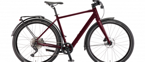 Win22 eFlitzer high darkcherry