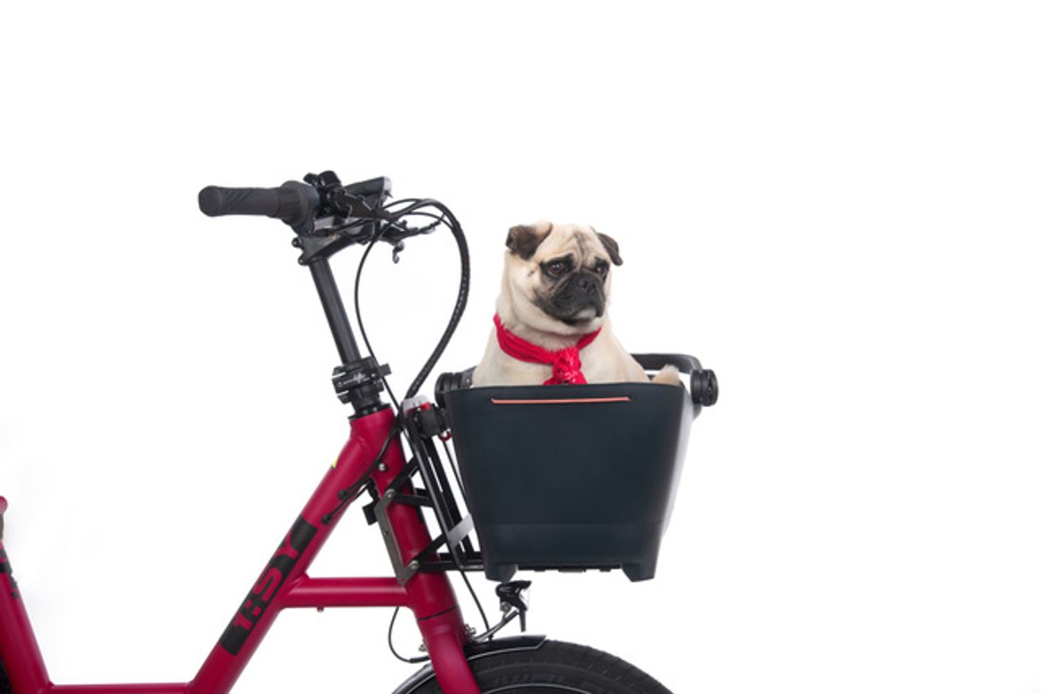 Basil BUDDY Hundekorb